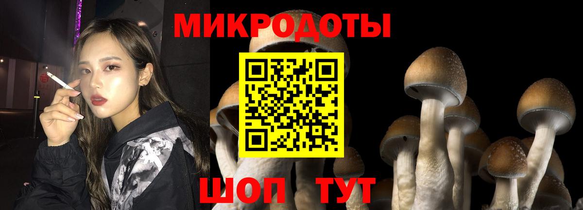 Псилоцибиновые грибы Magic Shrooms  Вход с VPN  Алушта 